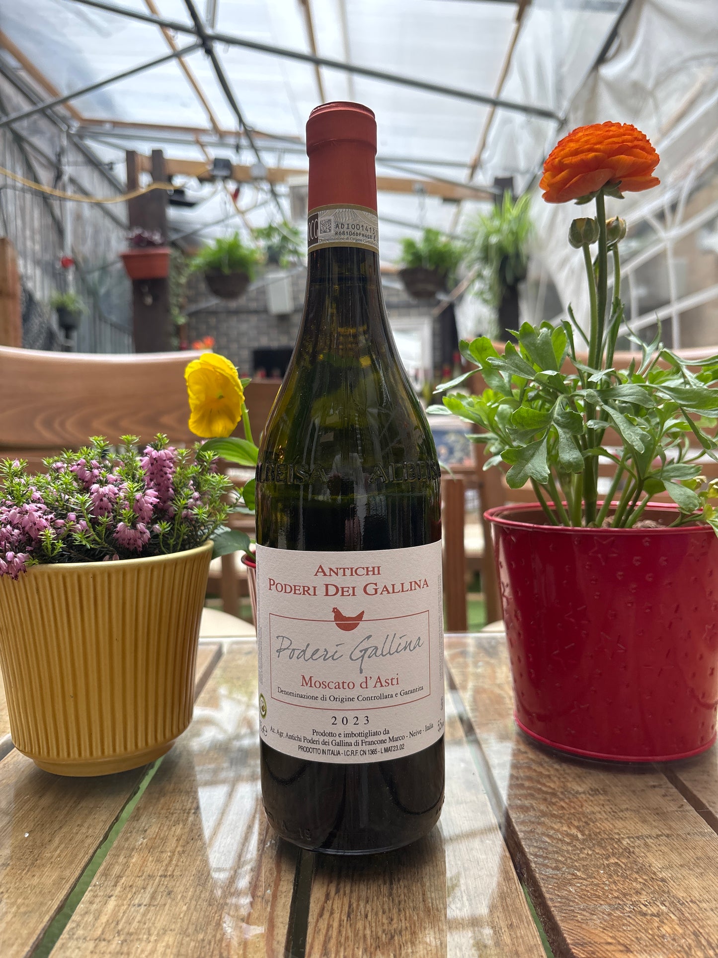Antichi Poderi Dei Gallina, Moscato d'Asti 2023