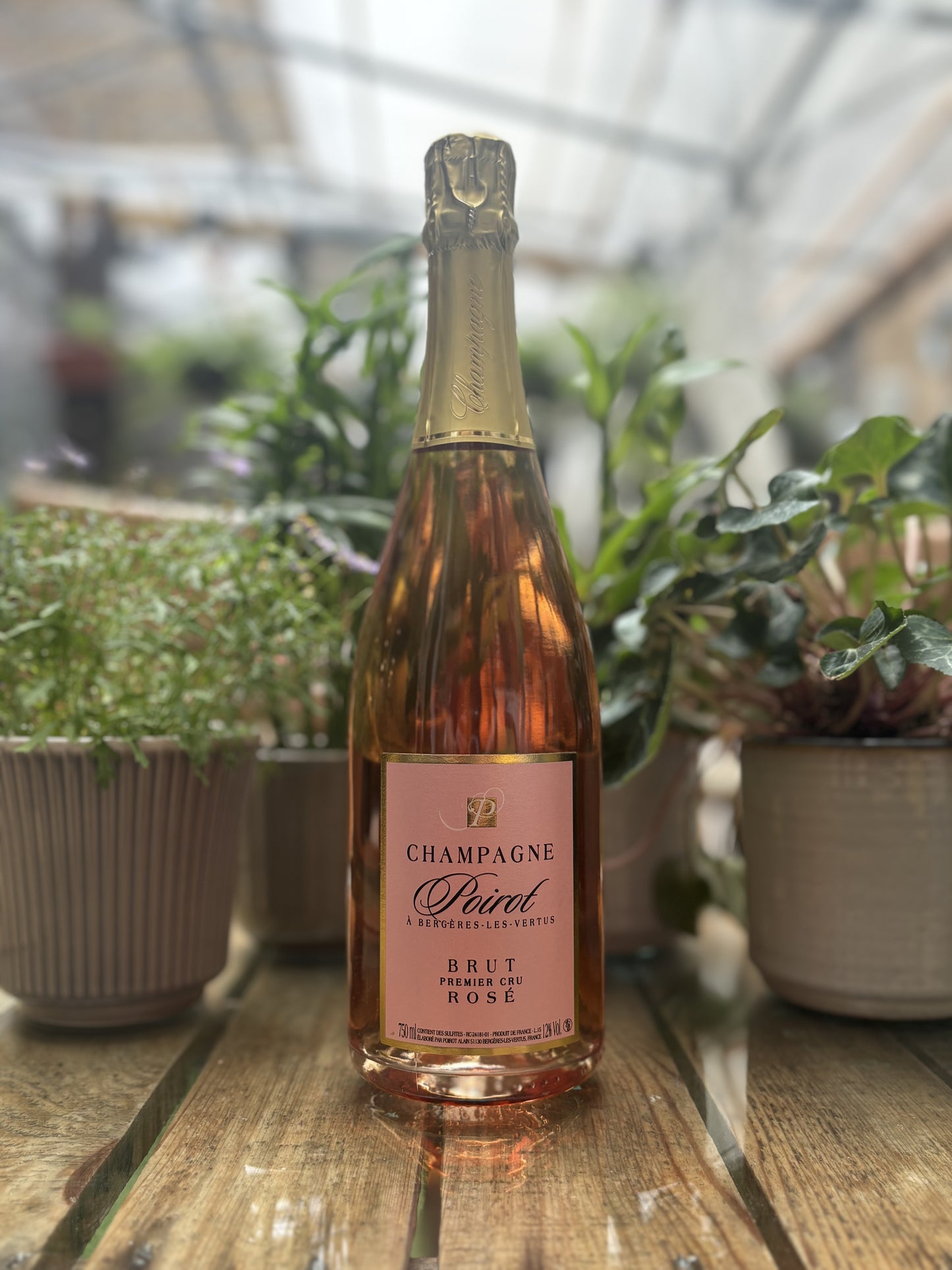 Poirot, Premier Cru, Rose NV