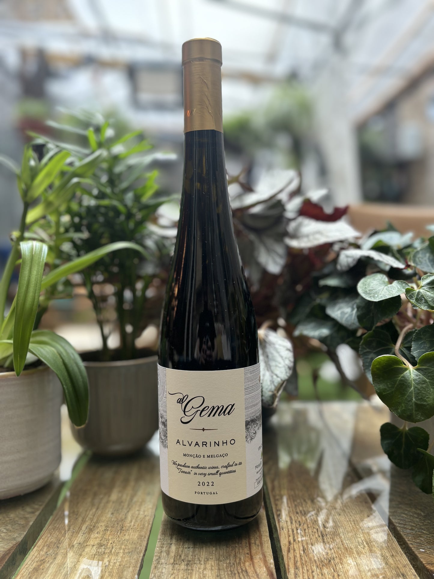 Gema, Vinho Verde, Alvarinho 2022