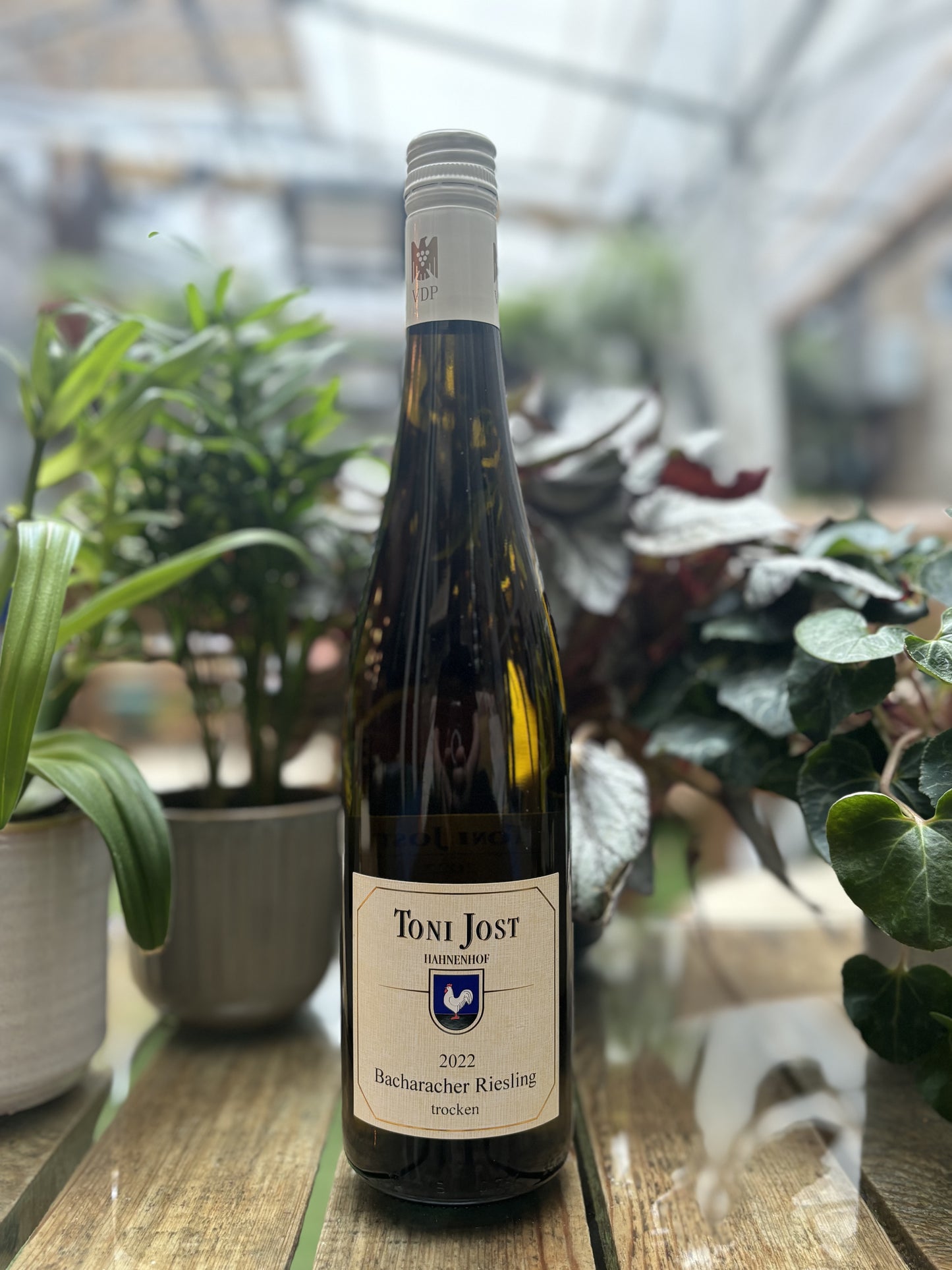 Toni Jost, Bacharacher Riesling,Trocken 2022