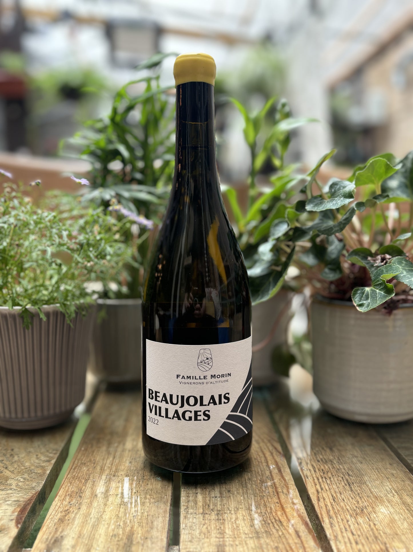 Eric et Puline Morin, Beaujolais Village, Chardonnay 2022