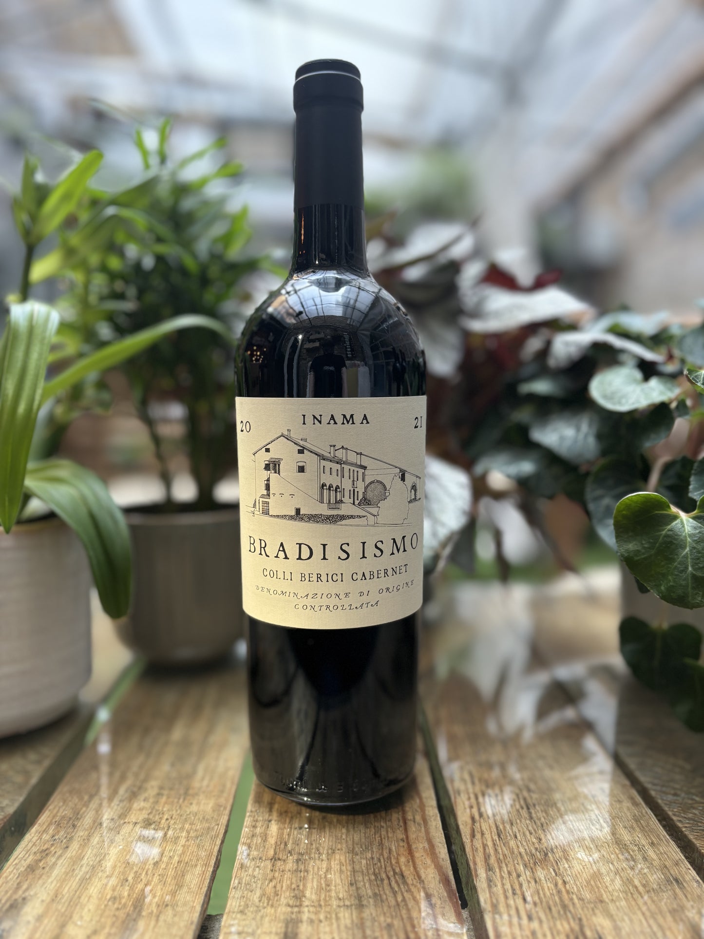 Inama, Bradisismo, 2020