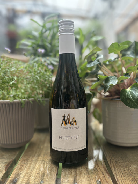 Cave St. Philippe, Pinot Gris 2022,  500Ml bottle