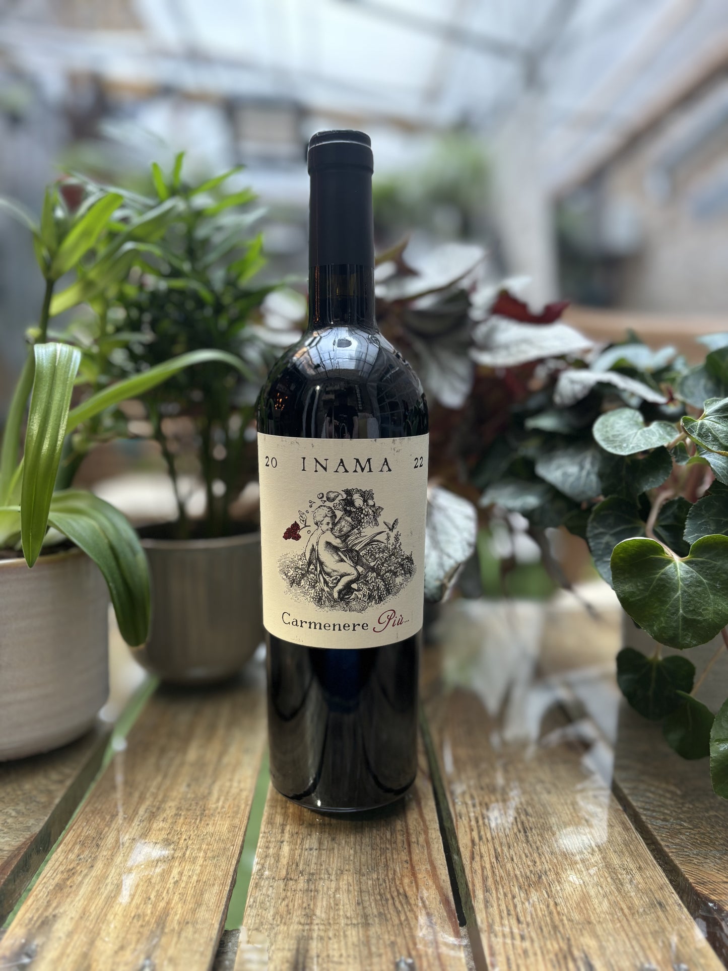 Inama, Carmenere Più, 2022