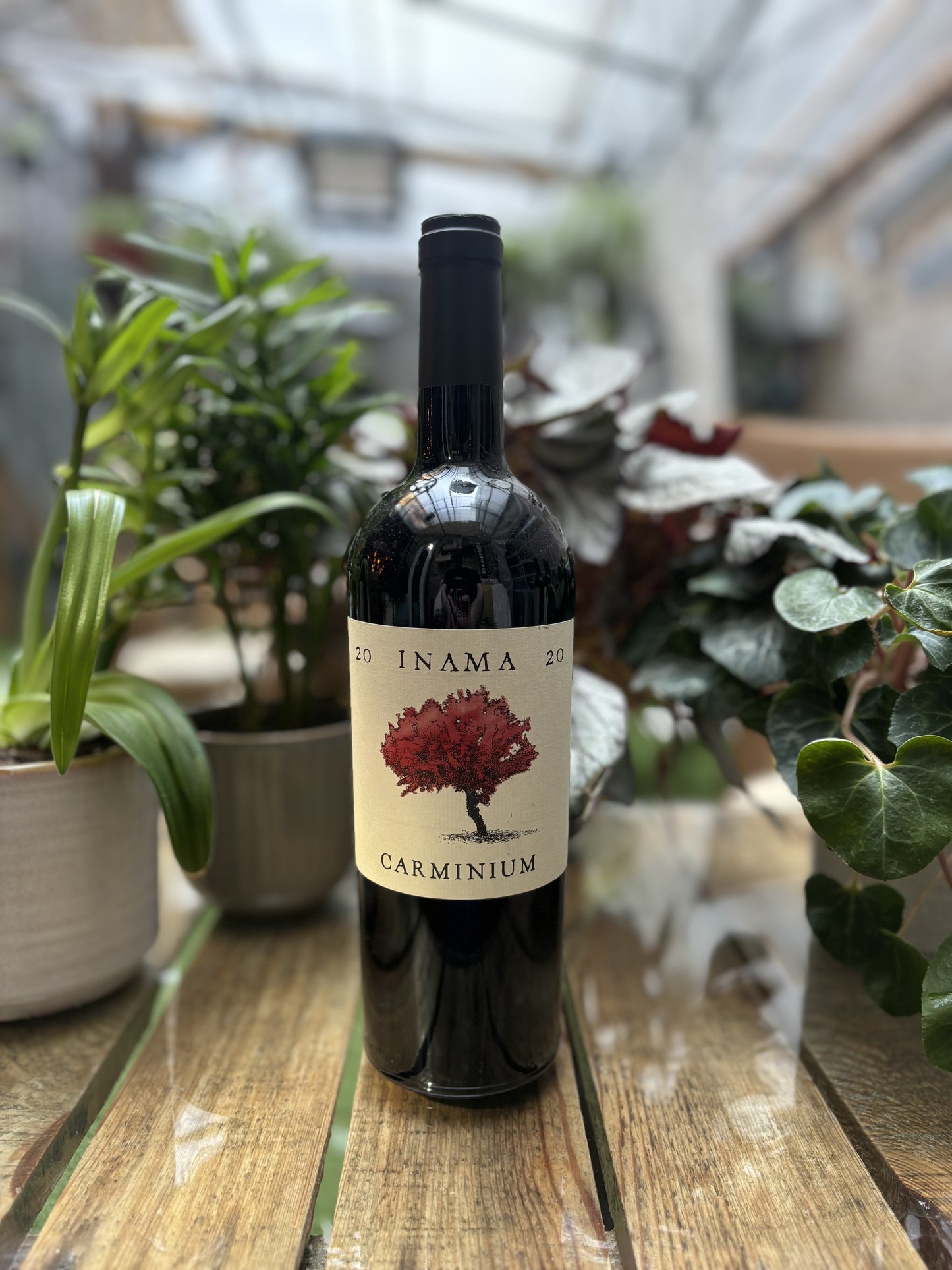 Inama, Carminium, 2020