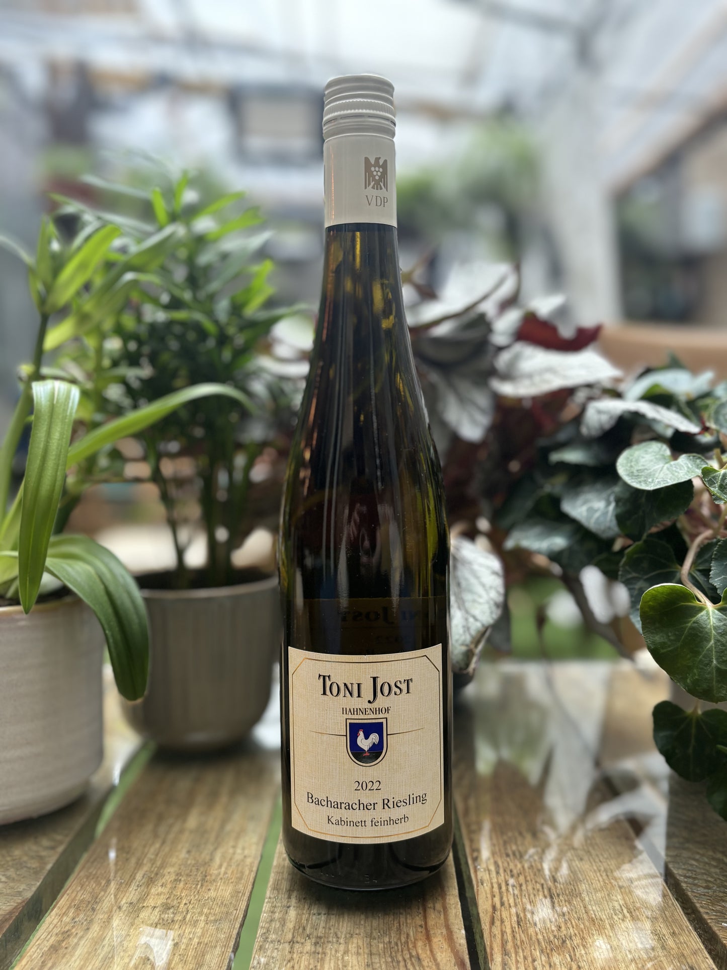 Toni Jost, Bacharacher Riesling, Kabinett feinherb 2022