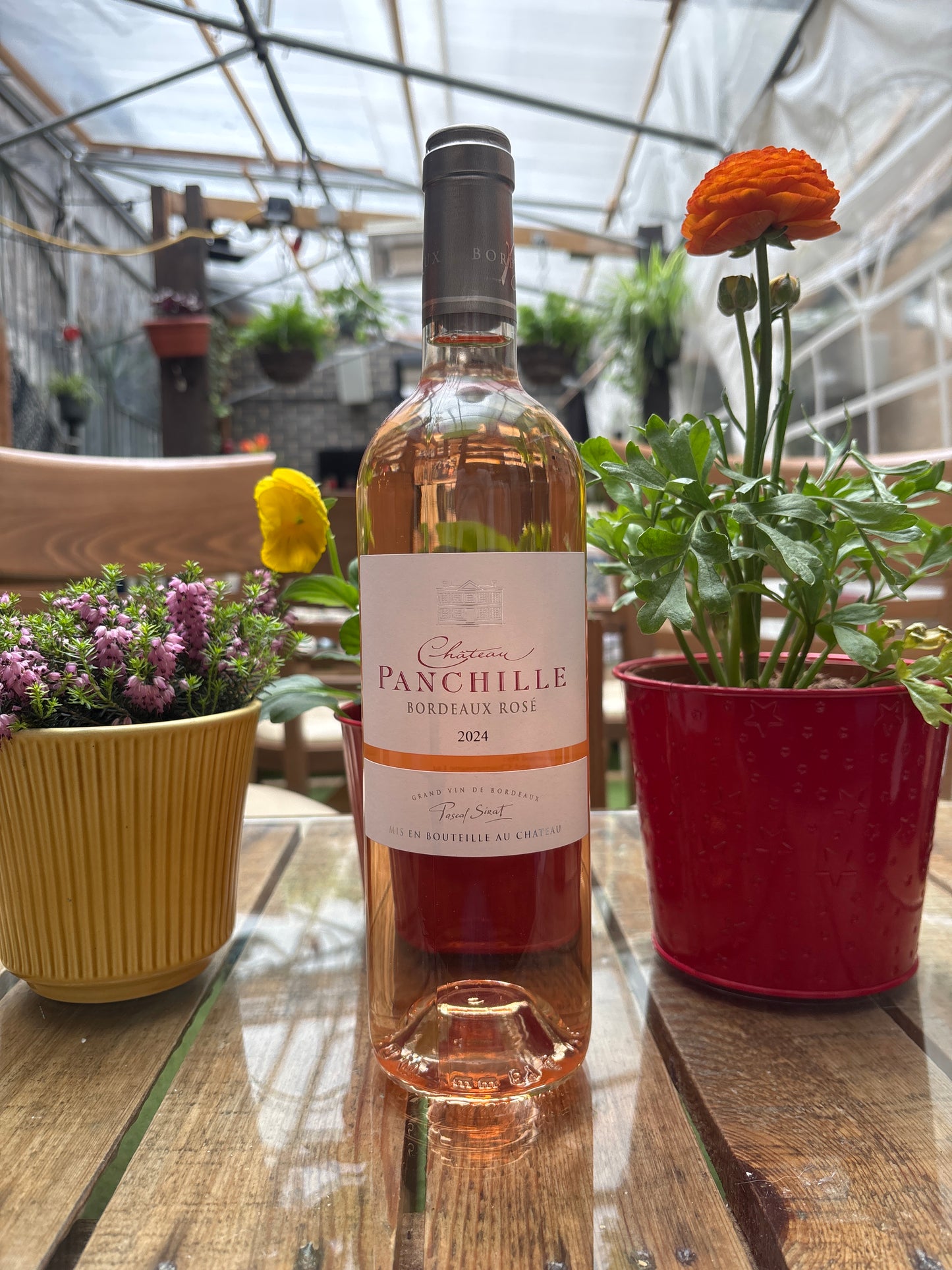 Chateau Panchille Rose, 2024      (Dry)