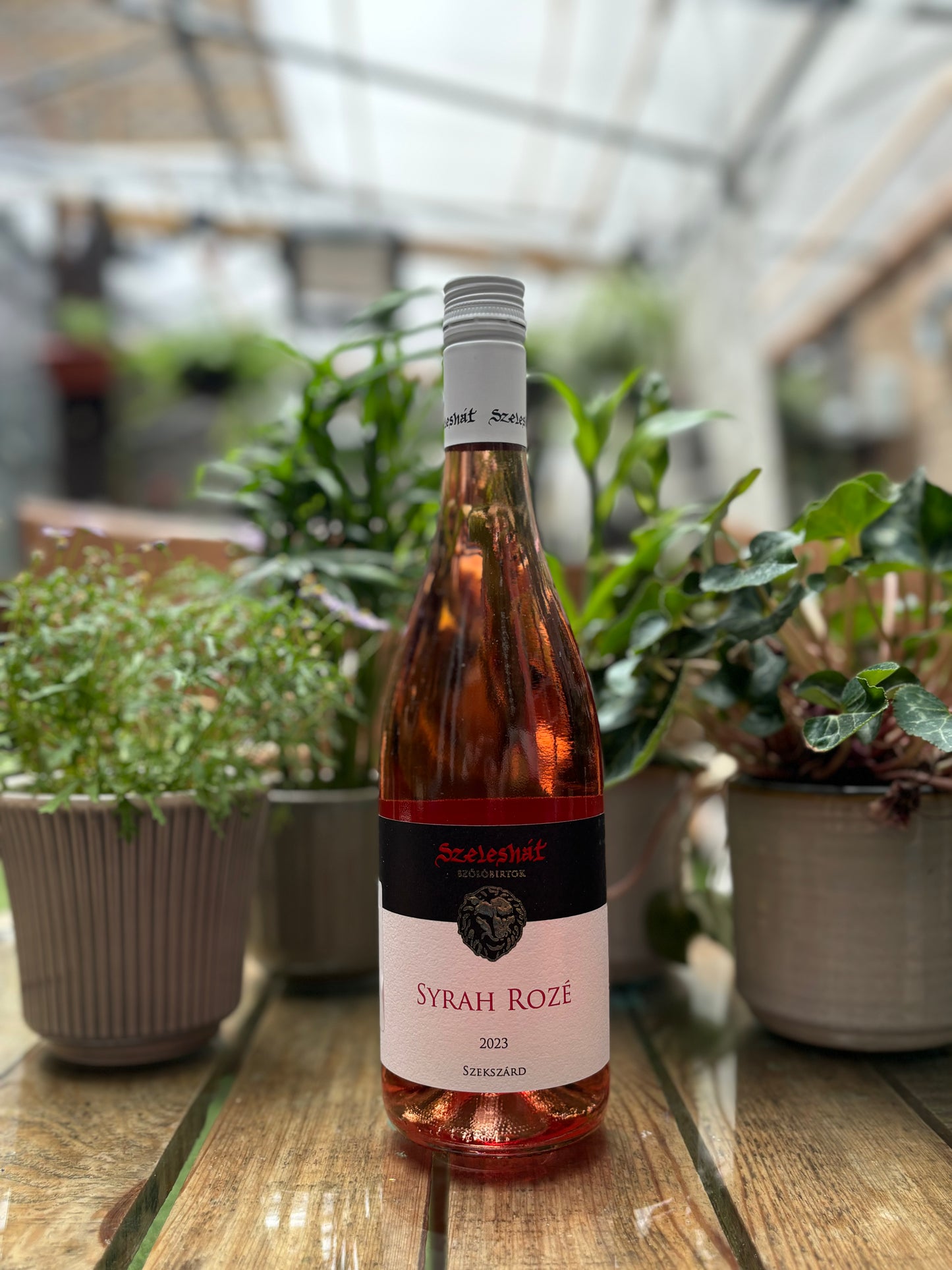 Szeleshat, Syrah Roze 2023