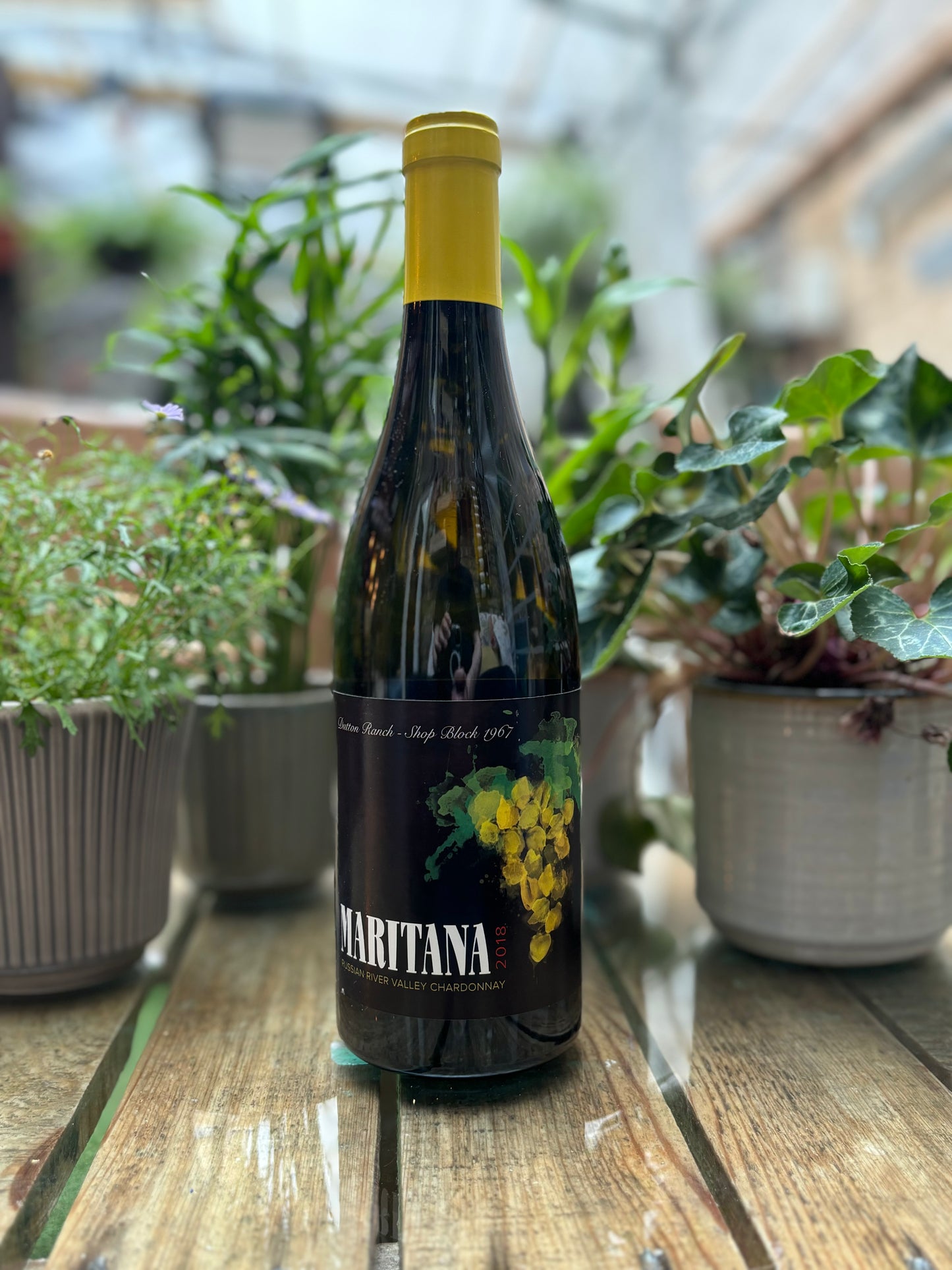 Maritana, Dutton Ranch-ShopBlock 1967,  Russian River Valley, Chardonnay, 2018