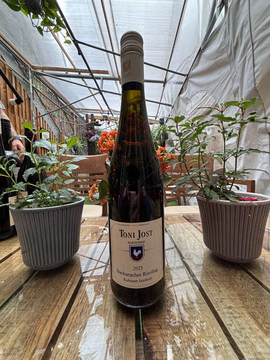 Toni Jost, Bacharacher Riesling Kabinett Feinherb 2023
