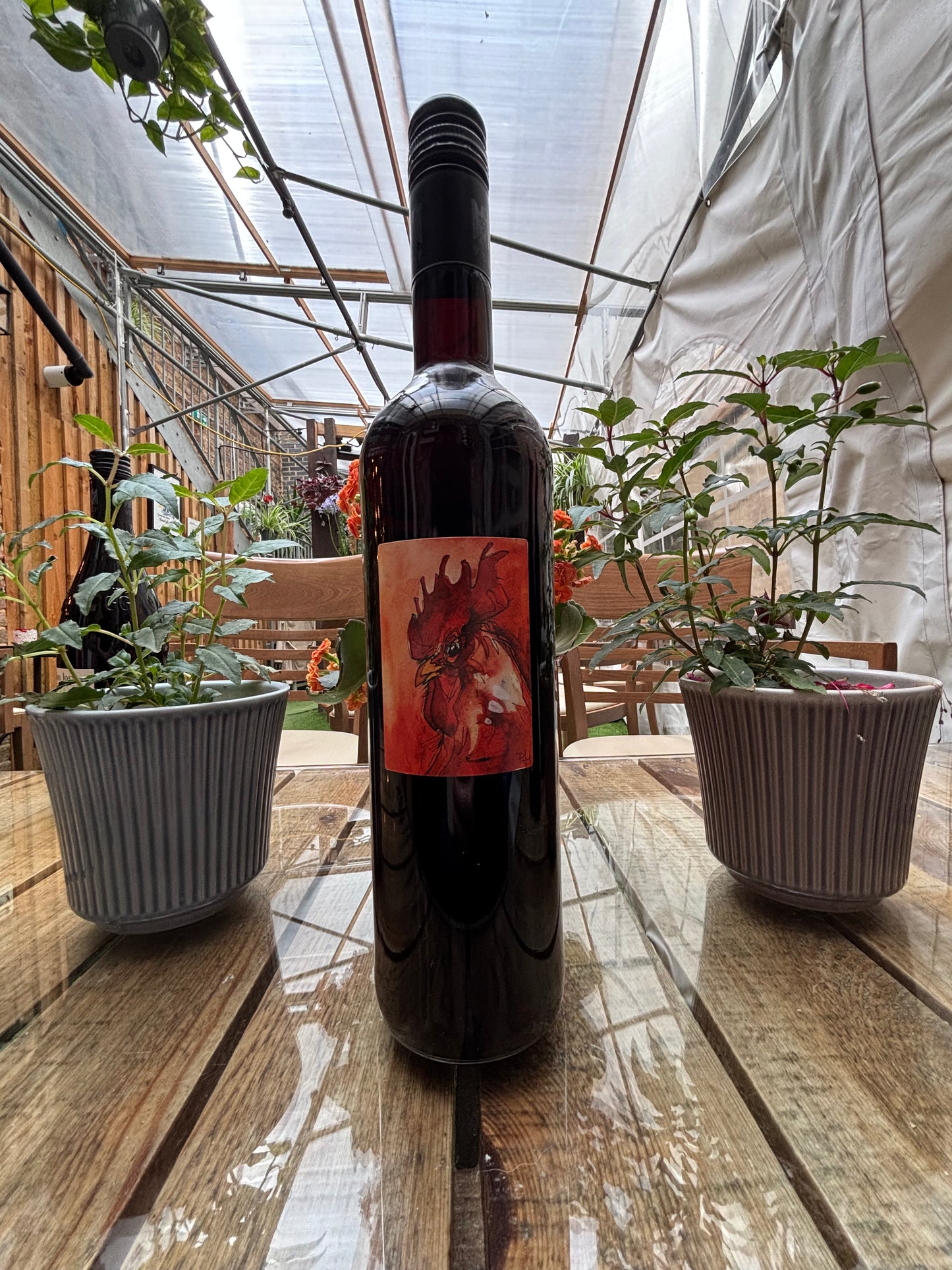 Toni Jost Pinot Noir 2022