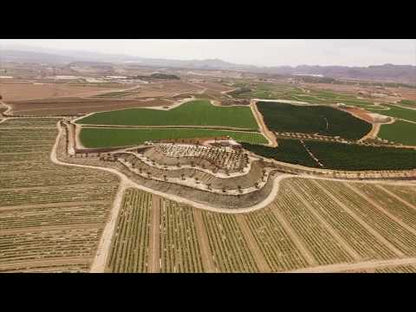 Bodega Sierra Almagrera, "Caballo Espanol", Tempranillo Blend, Almeria 2019